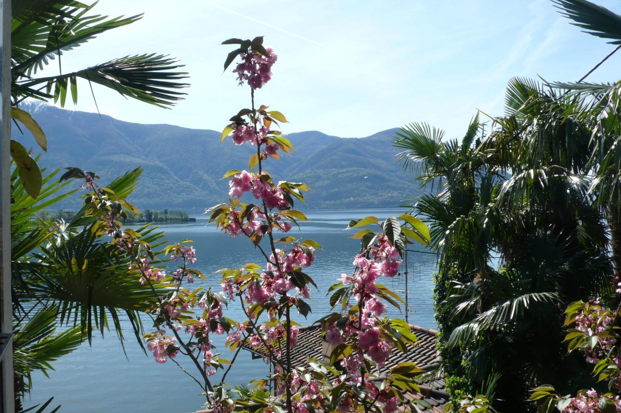 Residenza Bettina Bnb & Ferienwohnungen Ronco sopra Ascona Zewnętrze zdjęcie