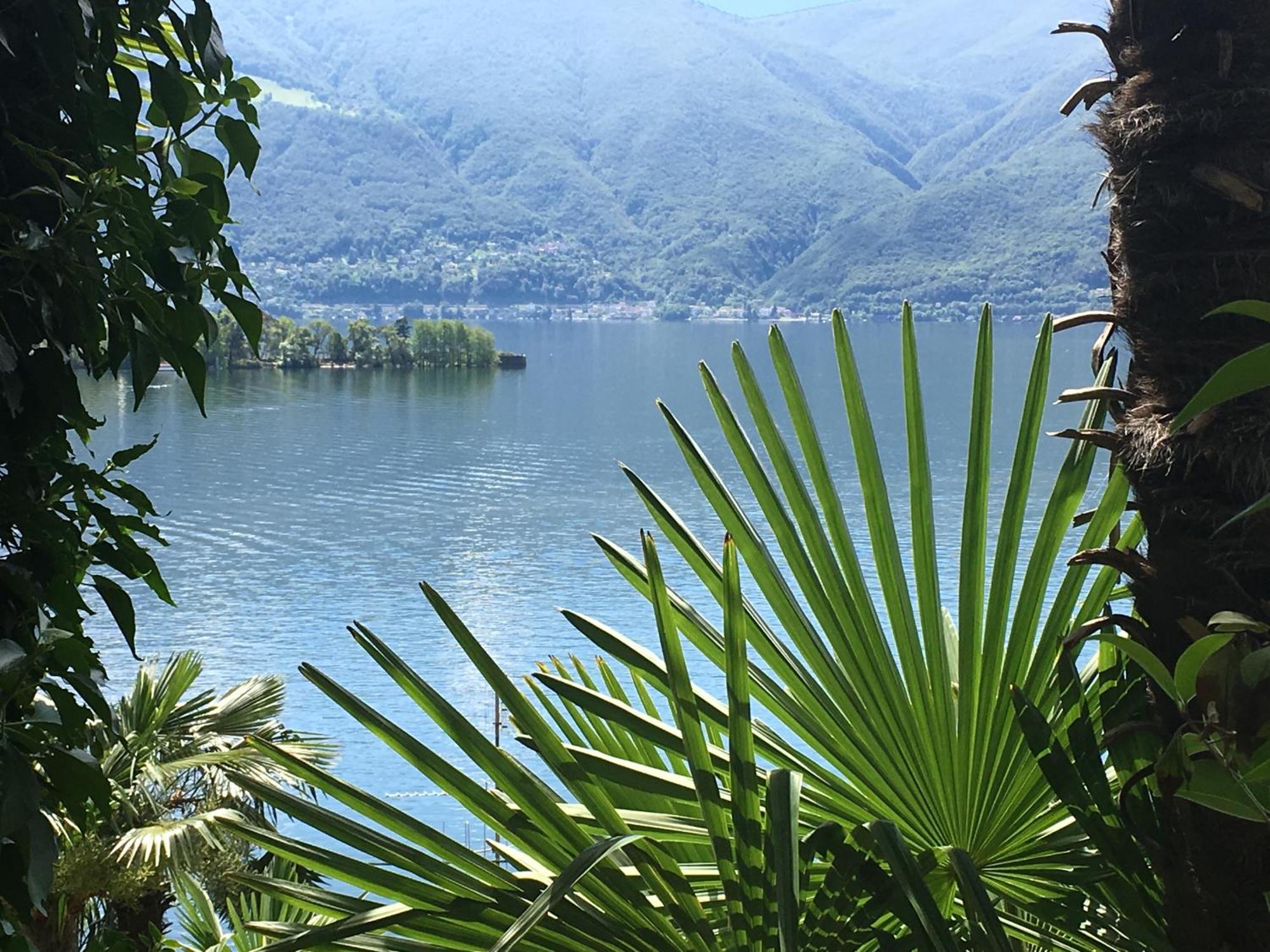 Residenza Bettina Bnb & Ferienwohnungen Ronco sopra Ascona Zewnętrze zdjęcie
